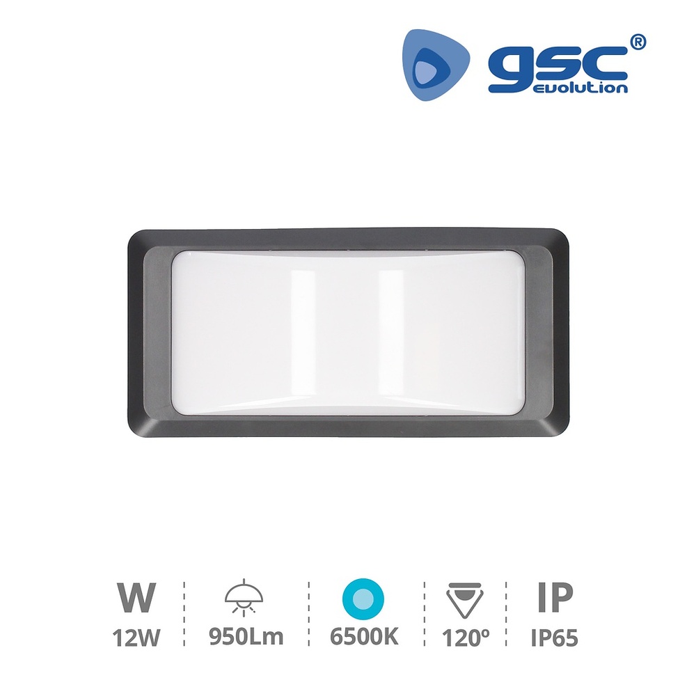 Aplique pared LED Anthe 11W 6500K IP65 Gris antracita Aplique pared LED Anthe 11W 6500K IP65 Gris antracita GSC