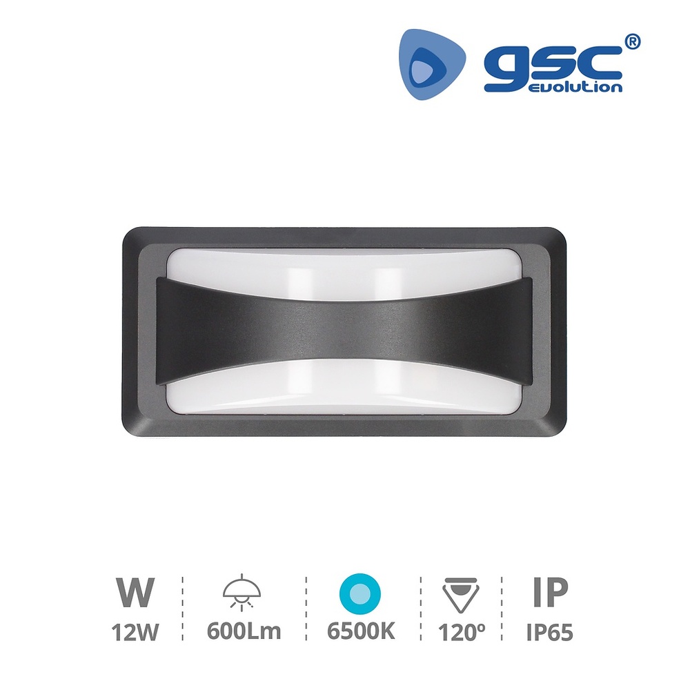 Aplique pared LED Anthe 11W 6500K IP65 Gris antracita Aplique pared LED Anthe 11W 6500K IP65 Gris antracita GSC