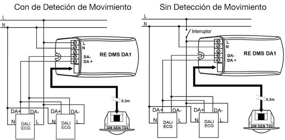 conexiones-RE-DMS-DA1 