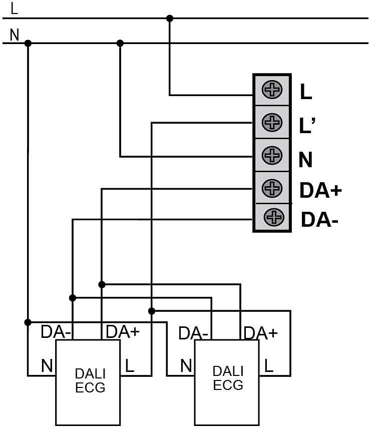 conexiones-DM-TE1-DA1 