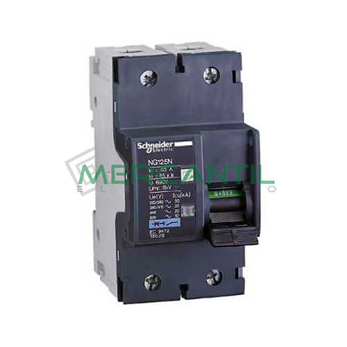 magnetotérmico-2p-ng125n-18621 Interruptor Magnetotérmico 2P 10A NG125N Sector Industrial SCHNEIDER ELECTRIC