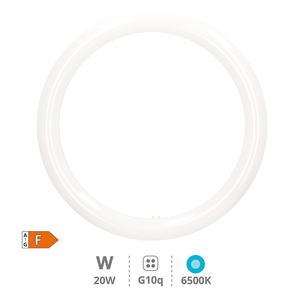 tubo-circular-led-lisala-20w-g10q-6500k-200800003 tubo-circular-led-lisala-20w-g10q-6500k-200800003