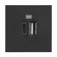 Base cargador doble USB Classia - Tipo A+C - Dark - 2 módulos