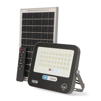 Foco Proyector Led Solar Milan 100W  6000K