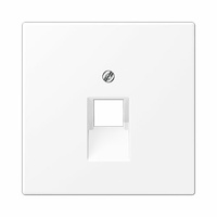 Placa central para toma RJ45 blanco alpino mate LS990 Jung