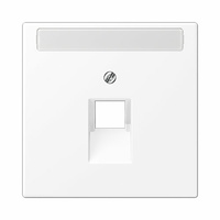 Placa central para toma RJ45 con toma de inscripción 9x58mm blanco alpino mate LS990 Jung