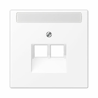 Placa central para toma doble RJ45 con regleta inscripción 9x58mm blanco alpino mate LS990 Jung