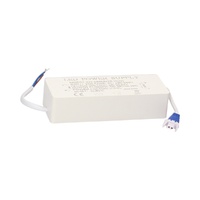 Recambio driver 30W para downlight Nevale