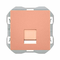 Tapa RJ45 con conector Simon 270 Color Bronce