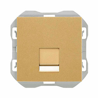 Tapa RJ45 con conector Simon 270 Color Oro