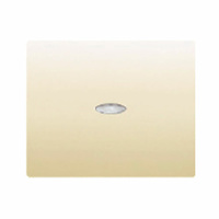 Tecla simple para mecanismos con difusor Iris BJC - color beige