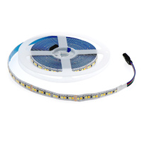 Tira Led 24V Dc Smd2835 Ziadna Ip20 CCT 192 Led/m - 5 Metros  CCT