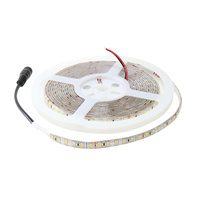 Tira de LED 24V DC SMD2835 Ziadna IP65 120 Led/m - 5 Metros