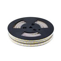 Tira de LED 24V DC SMD5050 Videny IP68 60 Led/m - 20 Metros