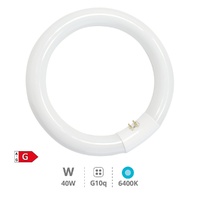 Tubo fluorescente circular T9 trifósforo 40W G10q 6400K