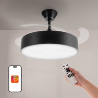 Ventilador de techo LED Messe Negro