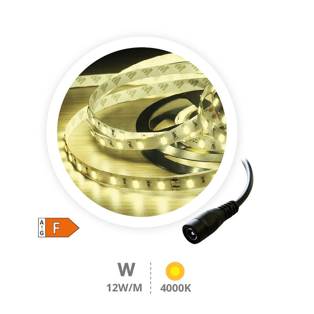 Rollo 5M tira LED 12W/M 4000-4500K 24V 