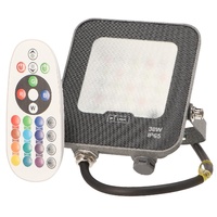 Foco Proyector Led Napoli Plus 30W RGB