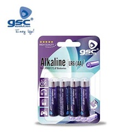 Pila alkalina GSC evolution LR-6 (AA), Blíster 4 Ud.